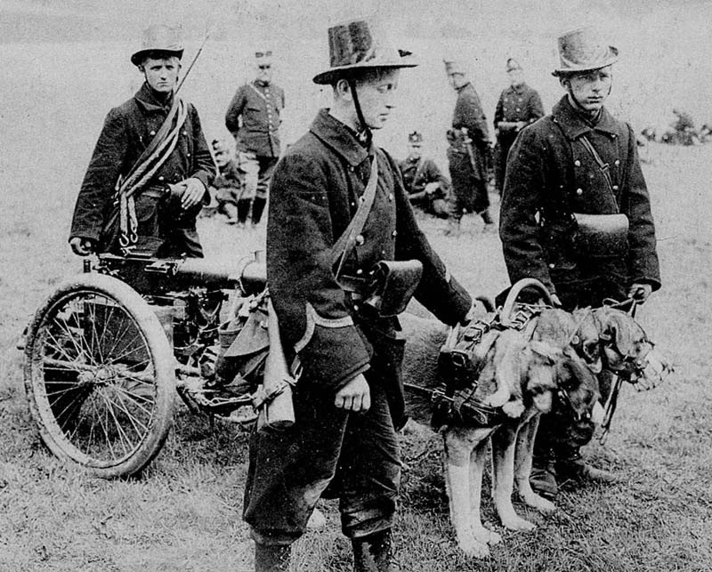 Бельгийские солдаты с собачьей упряжкой, на которой установлен пулемёт Максима.