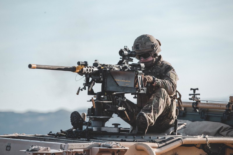 Бойцы Королевской морской пехоты Великобритании на учениях в центре подготовки КМП США, Калифорния, январь 2019 г.