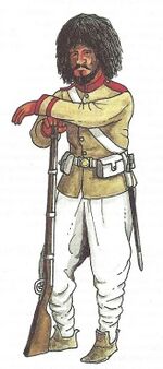 Afghan Regular Army - Infantryman 1885.jpg