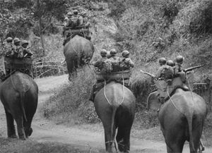 Вьетнамские солдаты на слонах, 1964 г..jpg