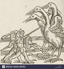Fight-between-pygmies-and-cranes-a-story-from-greek-mythology-from-DD7A77.jpg