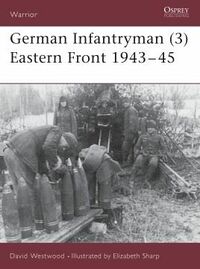 German Infantryman (3) Eastern Front 1943–45.jpg