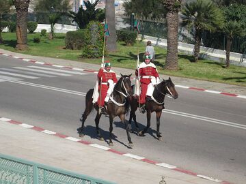 Mounted Moroccan Royal Guards.jpg