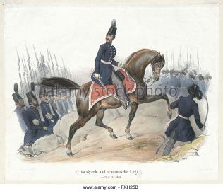 Nationalgarde-und-academische-legion-am-26ten-mai-1848-fxh25b.jpg