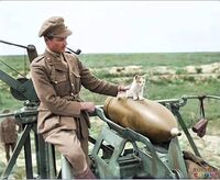 An officer of the 444th Siege Battery, Royal Garrison Artillery (RGA), smokes his pipe as he supervises a kitten balancing on a shell of a BL 12 inch railway howitzer Mk.V near Arras, Pas-de-Calais on the 19th of July 19.jpg