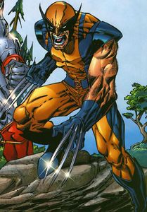 Wolverine comics.jpg