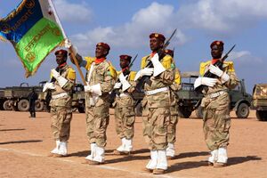 Djibouti Army stand at attention.jpg