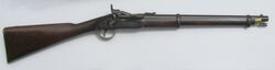 Constabulary Carbine, Tisdall 1872 contract fitted with saddle ring.jpg