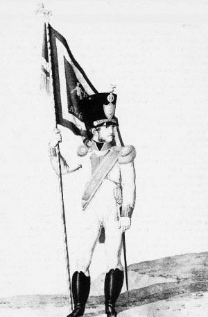 6 полк неаполь знаменосец 1814.jpg