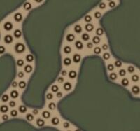 Octopus camouflage option.jpg