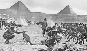 Австралийские солдаты с кенгуру в тени пирамид, Египет, 1914 г..jpg
