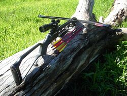 Recurve crossbow with bolts.jpg