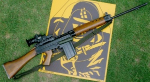 550442 assault-rifle p.jpg