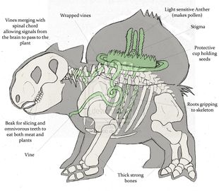Bulbasaur anatomical study by joshd1000-d25vroa.jpg