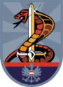 Emblème du Einsatzkommando Cobra (EKO Cobra).svg.png