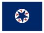 Hardee-pattern Battle Flag of the 6th Texas Infantry Regiment.jpg