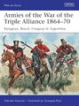 Armies of the War of the Triple Alliance 1864–70.jpg