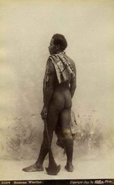 Taber photo (S. Francisco) - Samoan warrior - n. 8294 - Copyright 1894.jpg