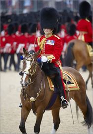 Simon-greenwood-mounted-grenadier-guards-officer-at-the-trooping-the-colour-ceremony-2010-whitehall-97107.jpg