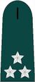 Integralist militia rank insignia tenete general.jpg