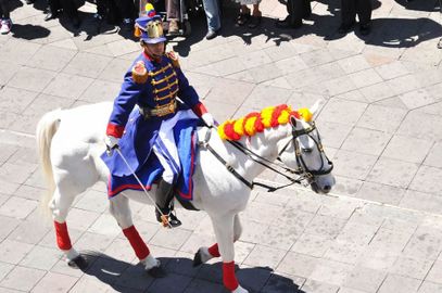 Changing-guard-ceremony-horse.jpg