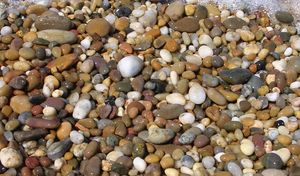 Pebbles-oliv-e.jpg