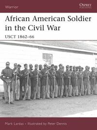 African American Soldier in the Civil War.jpg