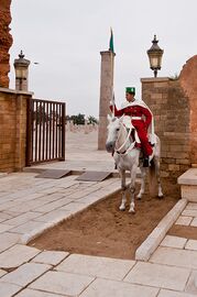 A Royal Moroccan Guard mounted on a horse at the Mausoleum of Mohammed V in Rabat.jpg