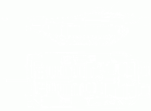 Strv103 2.gif