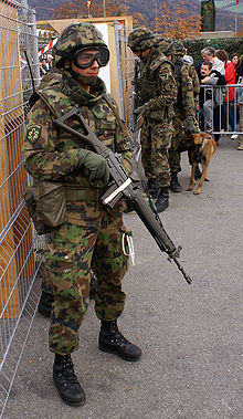220px-Schweizer Armee Füs Gr 2.jpg
