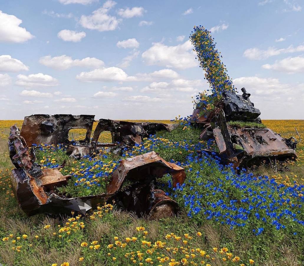 Уничтоженный российский БТР-82А, заросший синими и жёлтыми цветами, Украина, июнь 2022 г.
