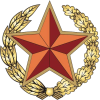 Armed Forces of Belarus.png