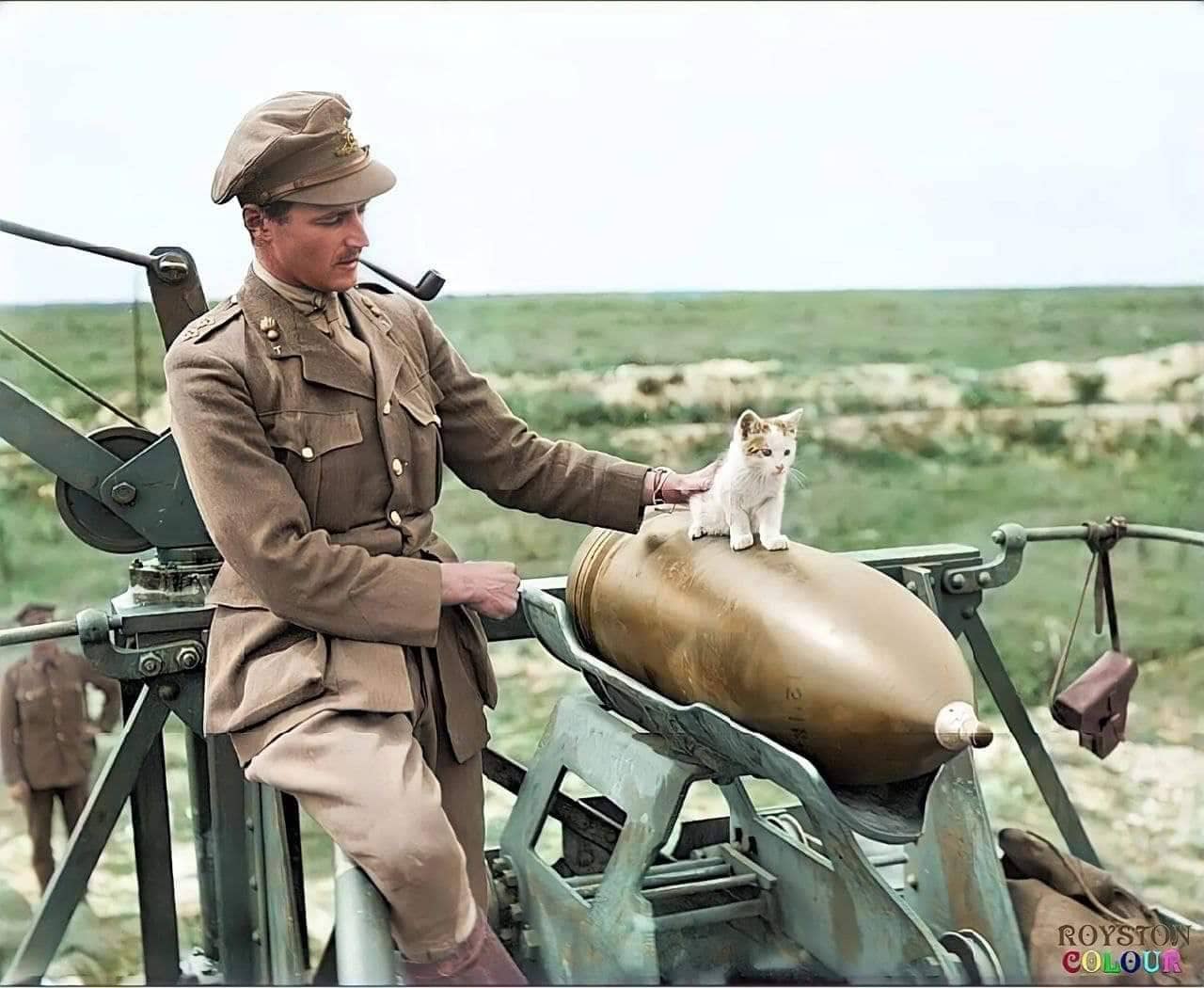 Офицер 44-й осадной батареи Королевской гранизонной артиллерии курит, наблюдая за котенком, который баллансирует на снаряде от 12-дюймовой железнодорожной гаубицы BL Mk.V возле Арраса, департамент Па-де-Кале, Франция, 19 июля 1919 г.