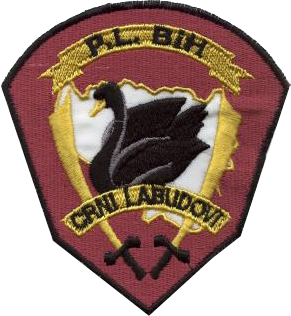 Black Swans (special forces) patch.png