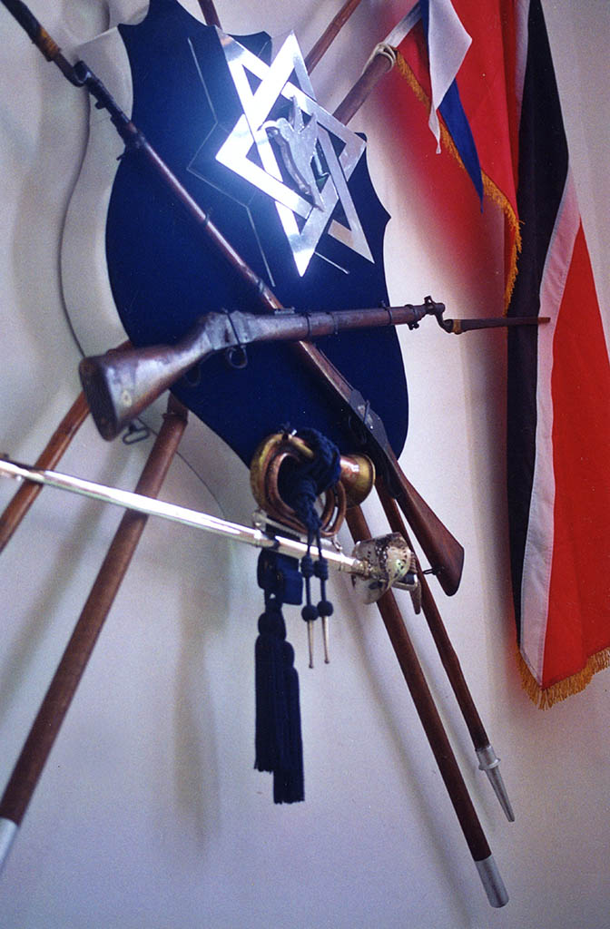 Центральная экспозиция в музее полиции Тринидада в Порт-оф-Спейне. В центре щит с логотипом полиции, вокруг него размещено оружие, которое использовалось тринидадскими ополченцами, сбоку также размещен флаг Тринидада и Тобаго.