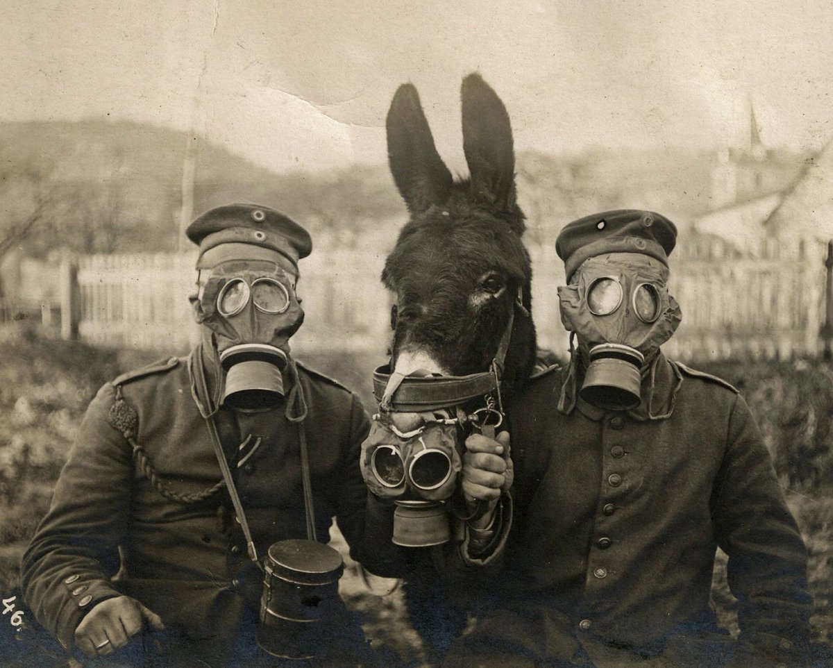 Два немецких солдата и их мул в противогазах, 1916 г.