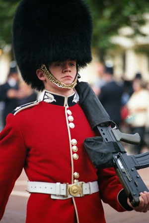 FZD British Royal Guard.jpg