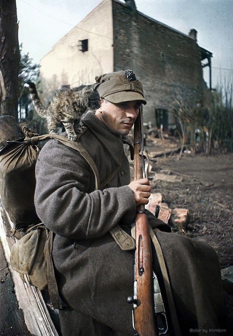 Солдат Войска Польского, вооруженный винтовкой Мосина, с котом на плече, 1944 или 1945 г.
