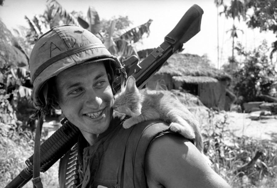 Американский солдат с котиком на плече, Вьетнамская война.
