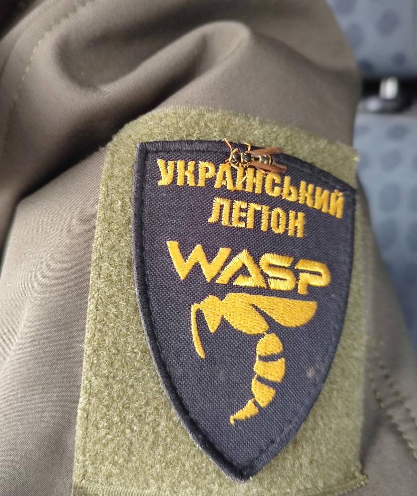 Настоящая оса на нашивке с изображением осы украинской роты операторов БПЛА "группа Wasp", 2023 г.