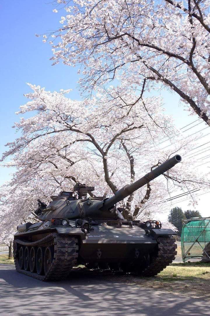 Японский танк тип 74 под ветками сакуры, 2019 г.