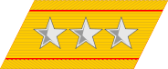 帝國陸軍の階級―襟章―大将.svg.png