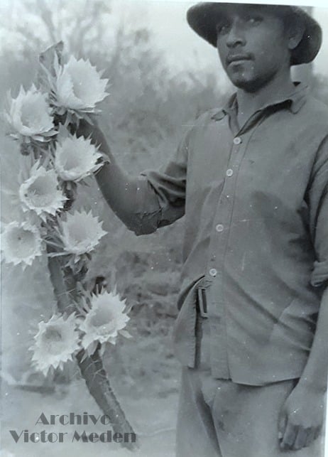 Парагвайский солдат демонстрирует экзотический цветок, который сильно контрастирует с сухой растительностью полупустыни Чако, 1932 - 1935 гг.