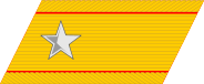 帝國陸軍の階級―襟章―少将.svg.png