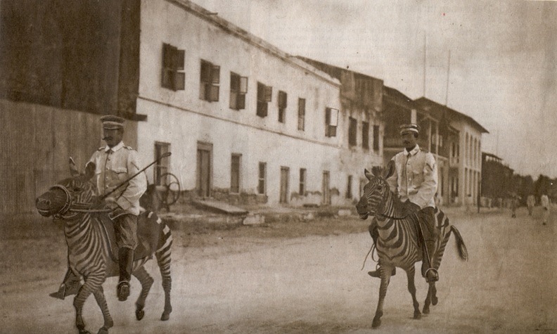 Немецкие колониальные кавалеристы верхом на зебрах, Немецкая Восточная Африка, 1911 г.