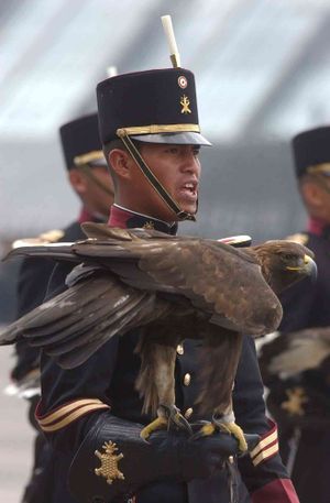 Mexican cadet.jpg