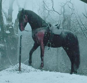 Конь сорвиголова на могиле гессенского всадника.jpg