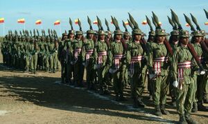 Liberation Tigers of Tamil Eelam.jpg