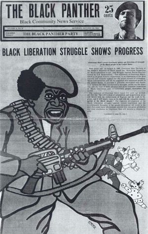 Black liberation struggle 12.jpg