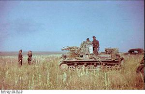 Bundesarchiv Bild 169-0110, Russland, Panzerjäger 1.jpg